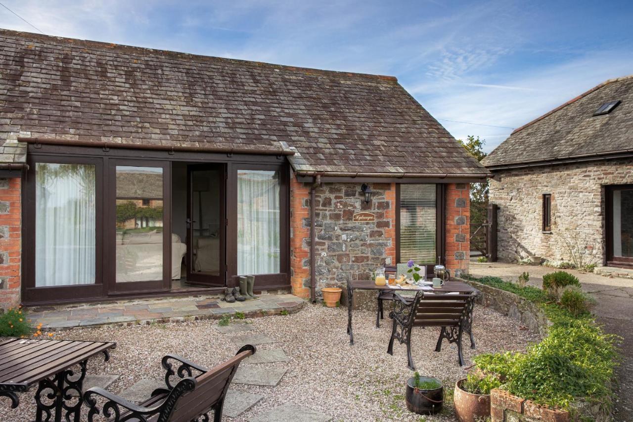 Downe Cottages Hartland Buitenkant foto