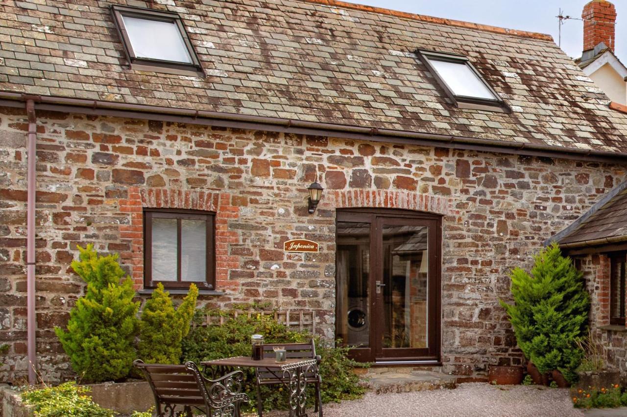 Downe Cottages Hartland Buitenkant foto